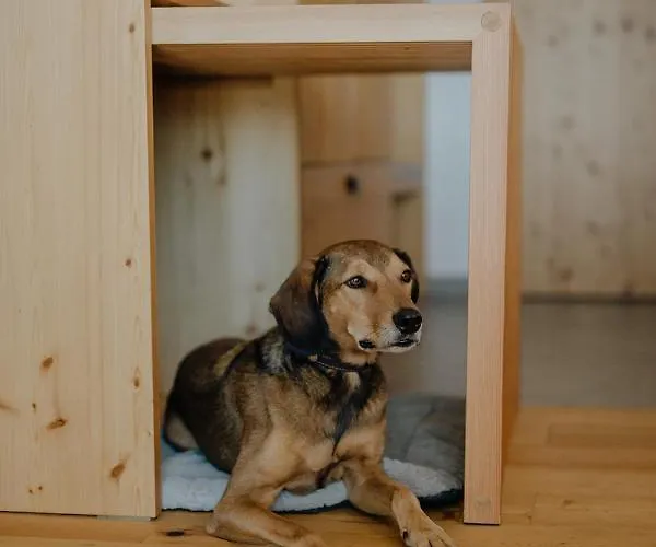 Thalers Mariandl Hotel